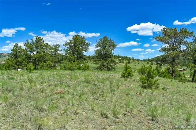 56 View Lane Guffey, CO 80820