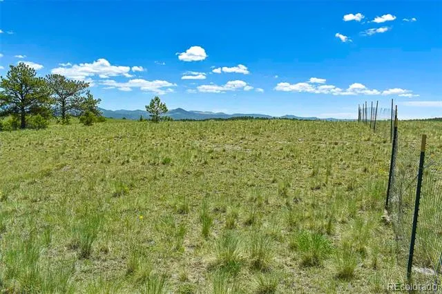56 View Lane Guffey, CO 80820