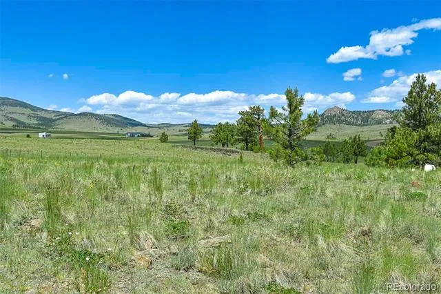 56 View Lane Guffey, CO 80820