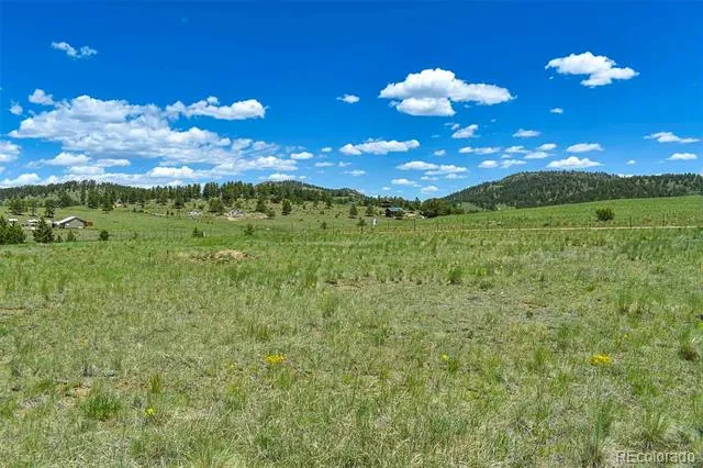 56 View Lane Guffey, CO 80820