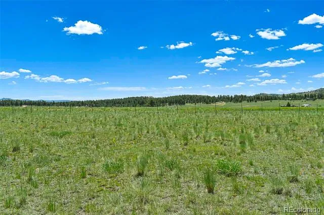 56 View Lane Guffey, CO 80820