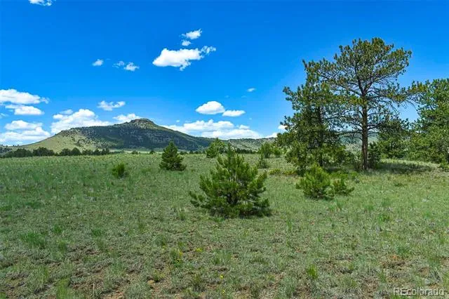 56 View Lane Guffey, CO 80820