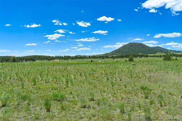 56 View Lane Guffey, CO 80820