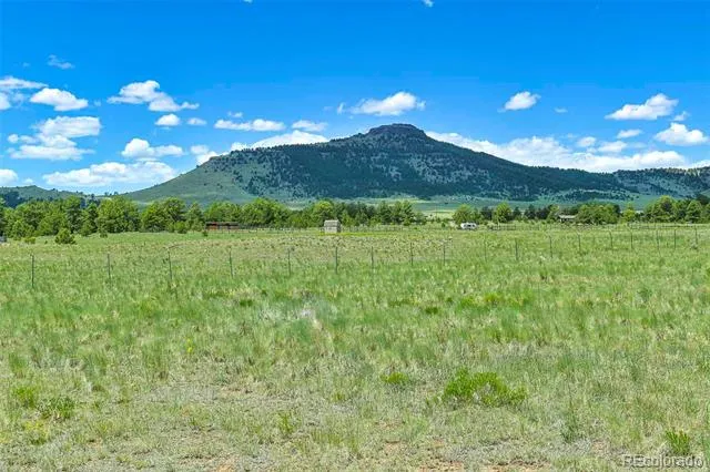56 View Lane Guffey, CO 80820