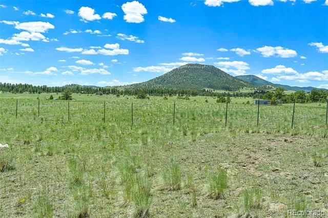 56 View Lane Guffey, CO 80820