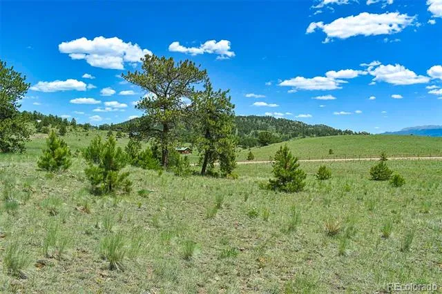 56 View Lane Guffey, CO 80820