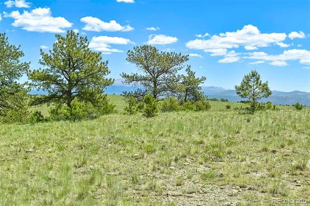 56 View Lane Guffey, CO 80820