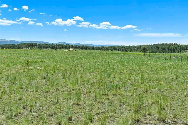 56 View Lane Guffey, CO 80820