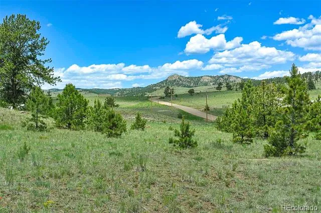 56 View Lane Guffey, CO 80820