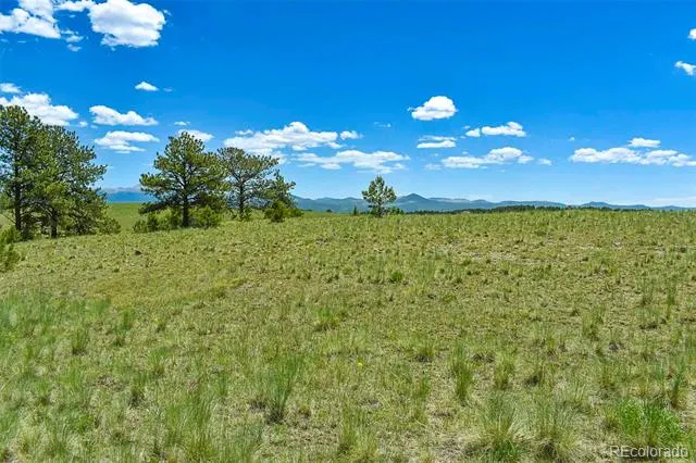 56 View Lane Guffey, CO 80820