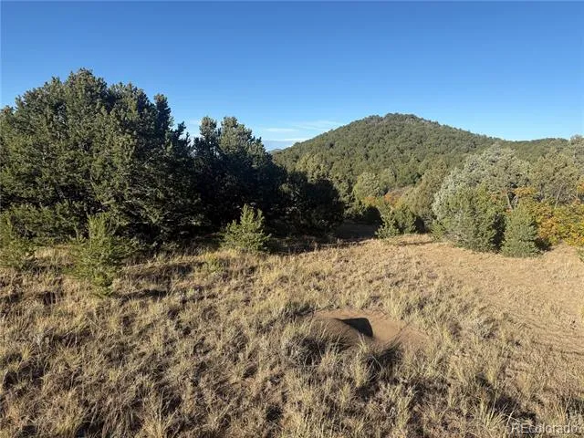 Address Not Shown Cotopaxi, CO 81223
