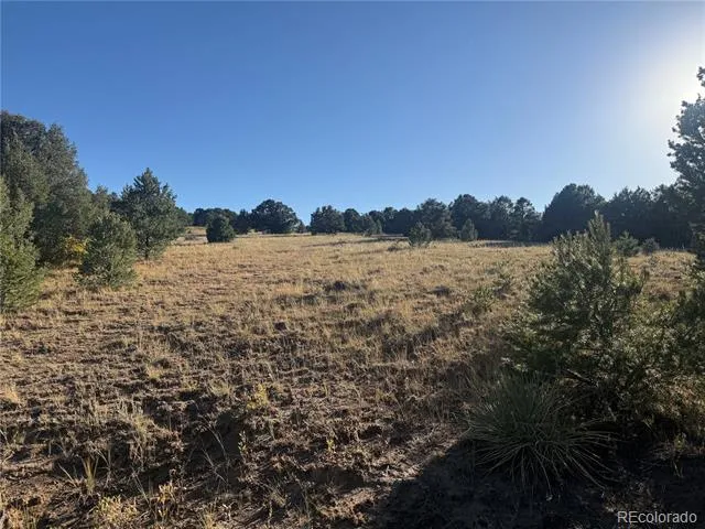 Address Not Shown Cotopaxi, CO 81223