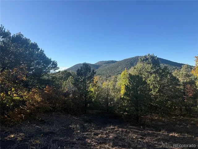 Address Not Shown Cotopaxi, CO 81223