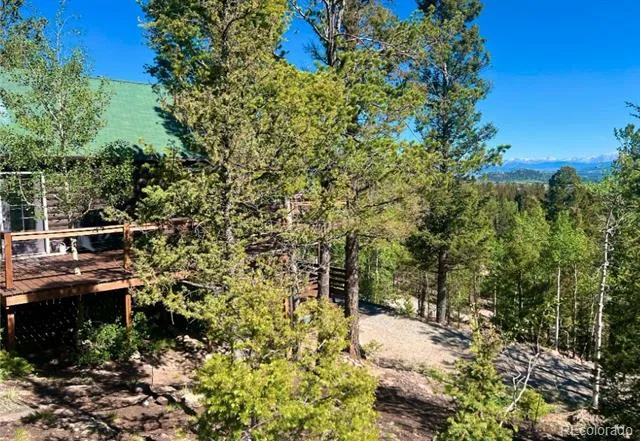 71 Red Cloud Drive Como, CO 80432