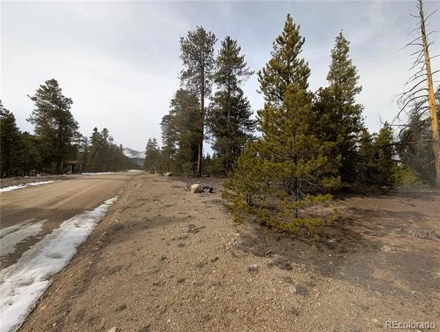 179 Cedar Drive Twin Lakes, CO 80461
