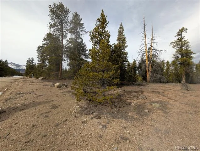 179 Cedar Drive Twin Lakes, CO 80461
