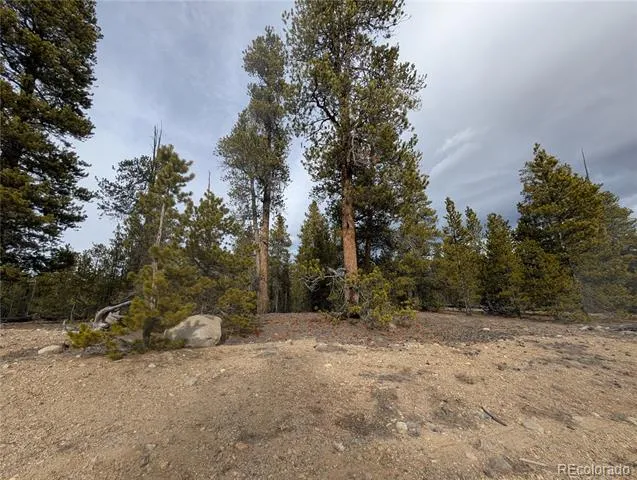 179 Cedar Drive Twin Lakes, CO 80461