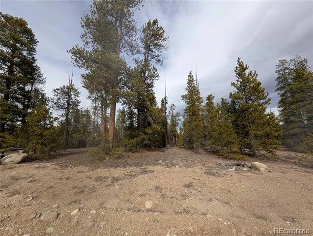 179 Cedar Drive Twin Lakes, CO 80461