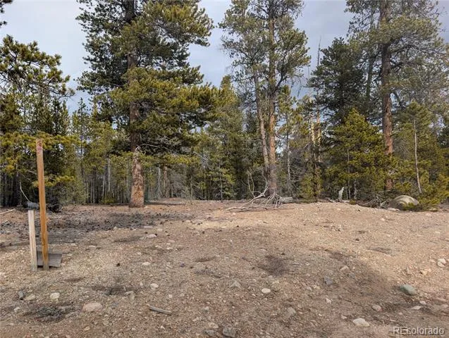 179 Cedar Drive Twin Lakes, CO 80461