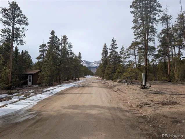 179 Cedar Drive Twin Lakes, CO 80461
