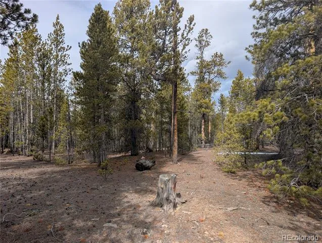 179 Cedar Drive Twin Lakes, CO 80461