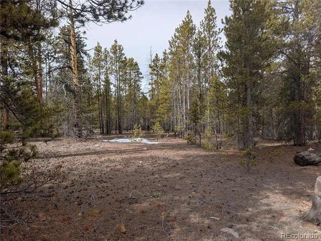 179 Cedar Drive Twin Lakes, CO 80461