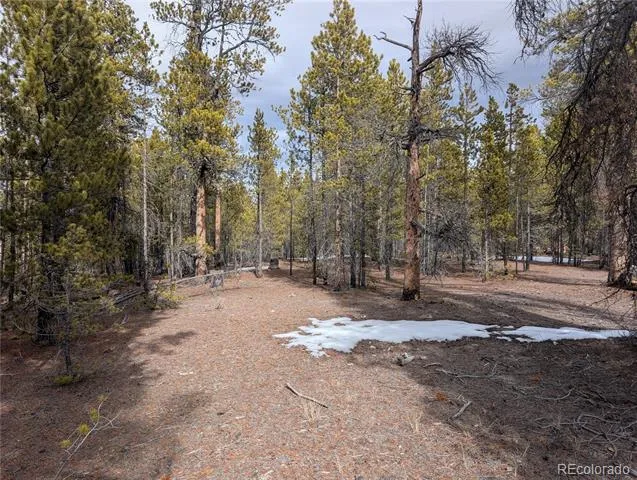 179 Cedar Drive Twin Lakes, CO 80461