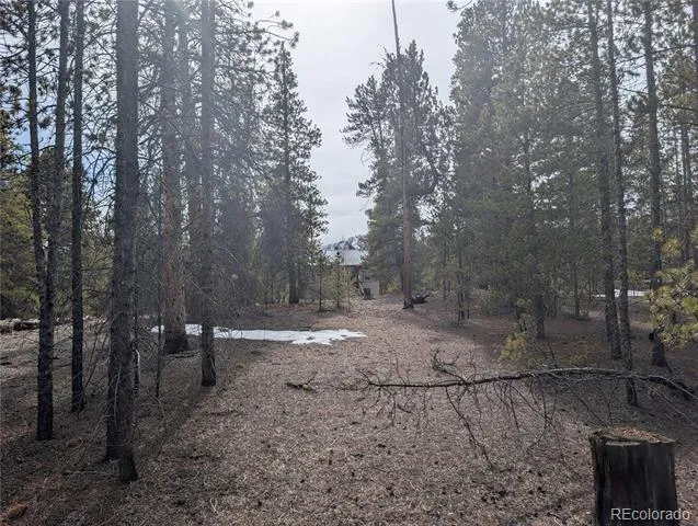 179 Cedar Drive Twin Lakes, CO 80461