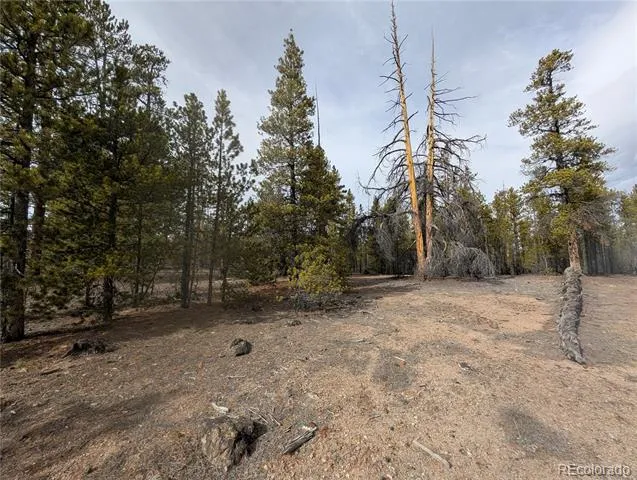 179 Cedar Drive Twin Lakes, CO 80461