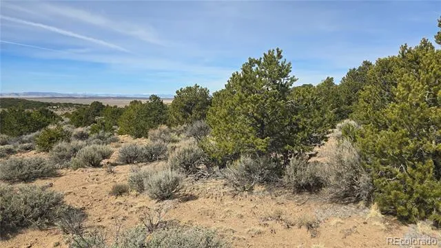 Lot 1075 Sylvia Road Fort Garland, CO 81133