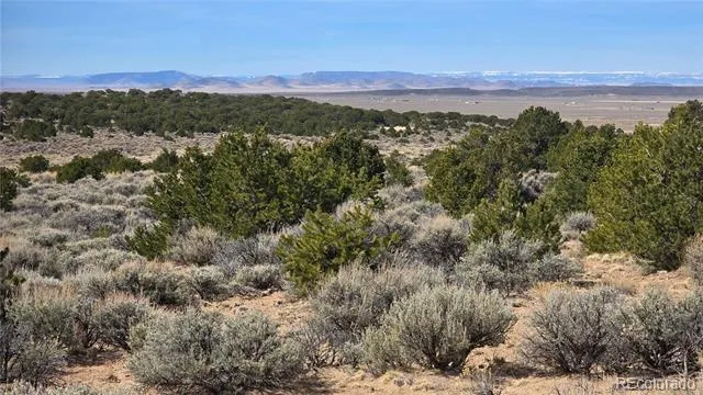 Lot 1075 Sylvia Road Fort Garland, CO 81133
