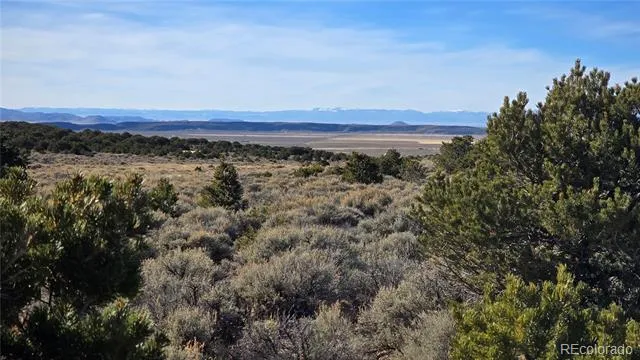 Lot 1075 Sylvia Road Fort Garland, CO 81133