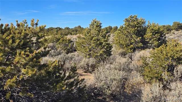 Lot 1075 Sylvia Road Fort Garland, CO 81133