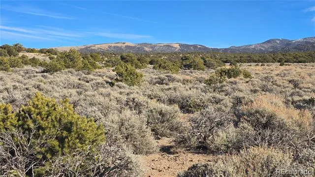 Lot 1075 Sylvia Road Fort Garland, CO 81133
