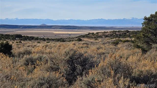 Lot 1075 Sylvia Road Fort Garland, CO 81133