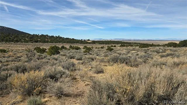 Lot 1075 Sylvia Road Fort Garland, CO 81133