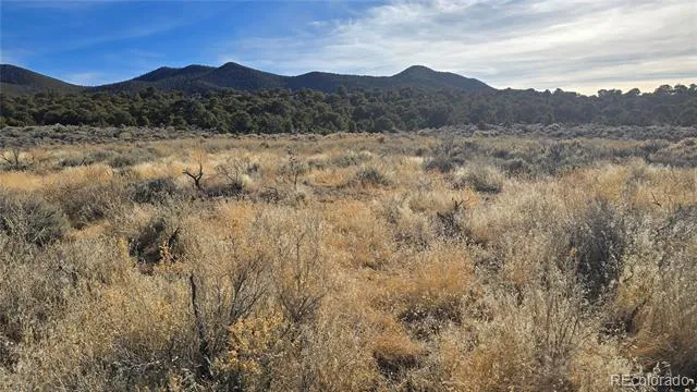 Lot 1075 Sylvia Road Fort Garland, CO 81133