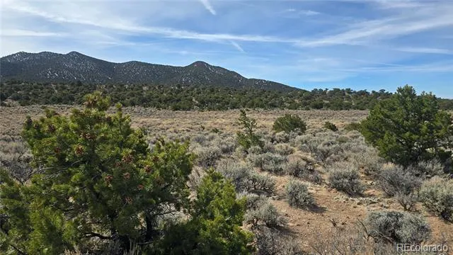 Lot 1075 Sylvia Road Fort Garland, CO 81133