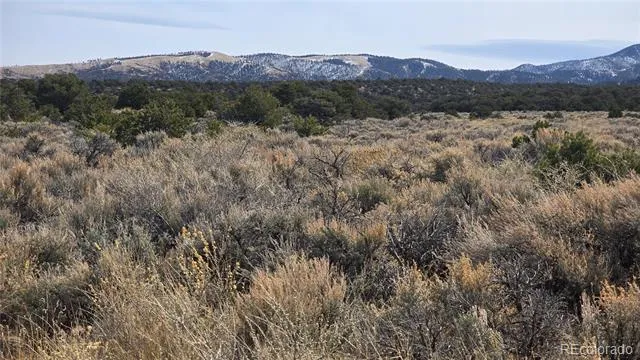 Lot 1075 Sylvia Road Fort Garland, CO 81133