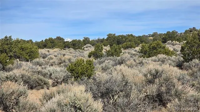 Lot 1075 Sylvia Road Fort Garland, CO 81133