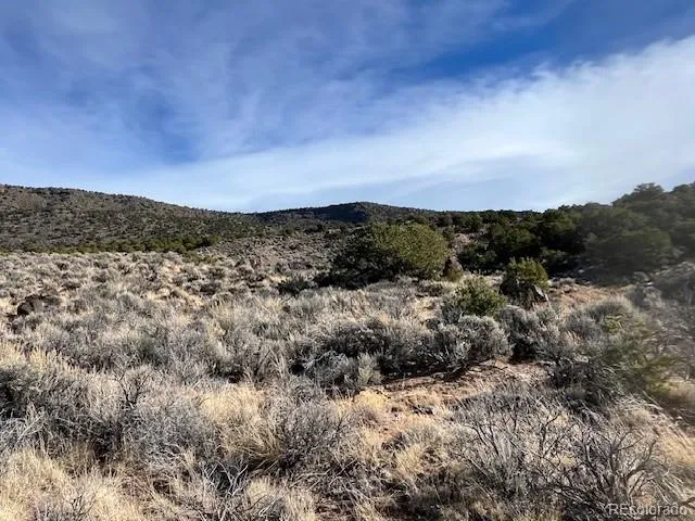 Lot 72 Stagecoach Road San Luis, CO 81152
