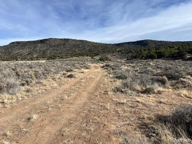 Lot 72 Stagecoach Road San Luis, CO 81152