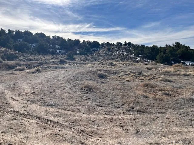 Lot 72 Stagecoach Road San Luis, CO 81152