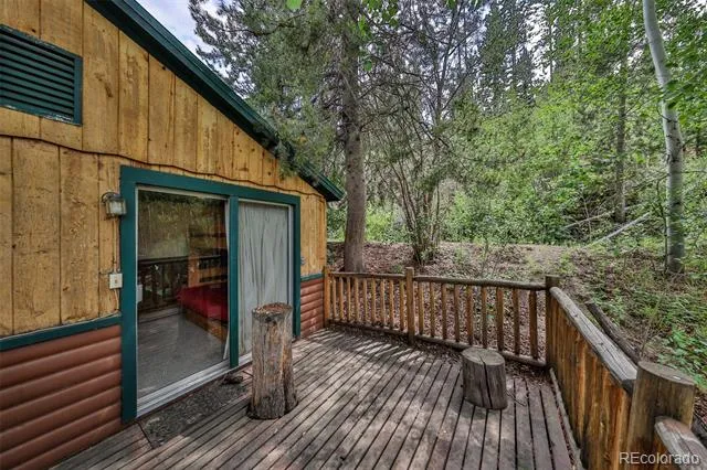 33 County Road 461 Grand Lake, CO 80447