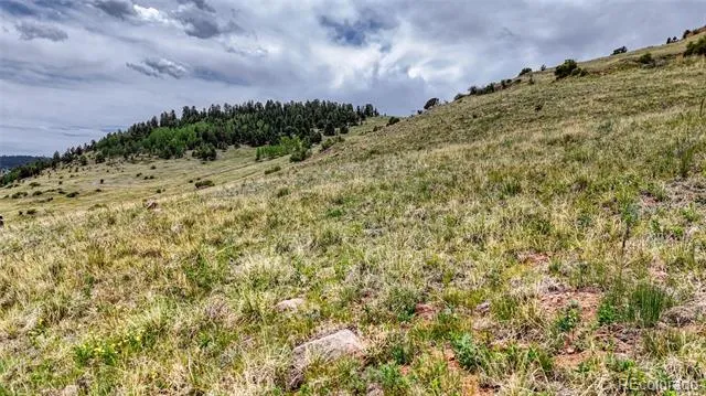 L37-40 S A STREET Cripple Creek, CO 80813