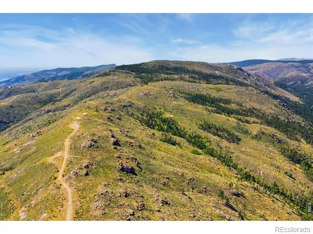 1325 Walking Wind Drive Bellvue, CO 80512