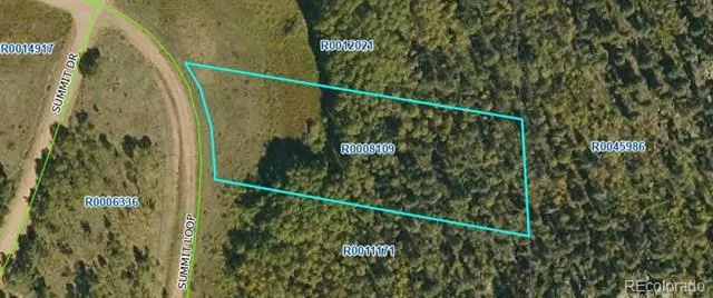 266 Summit Loop Florissant, CO 80816