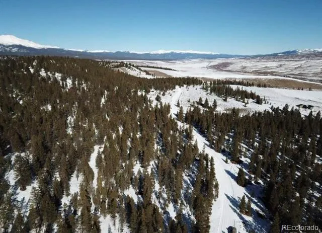 680 Edward East Hill Drive Twin Lakes, CO 81251