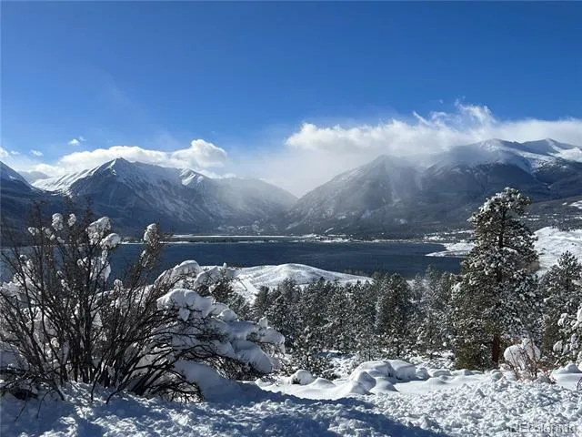 680 Edward East Hill Drive Twin Lakes, CO 81251