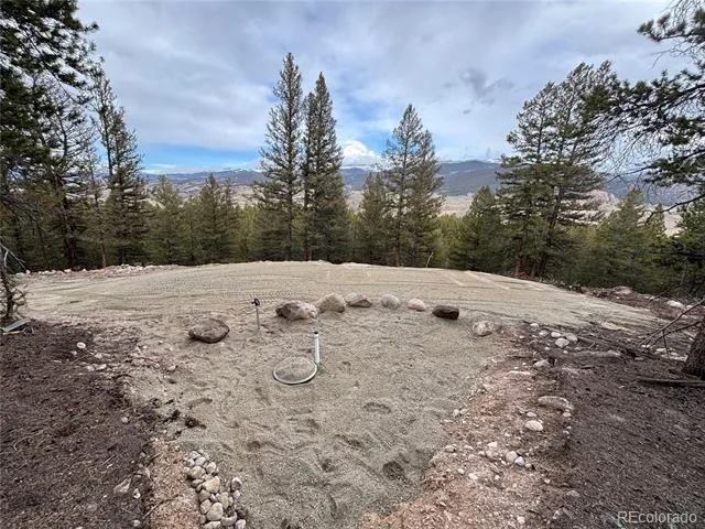 680 Edward East Hill Drive Twin Lakes, CO 81251